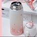 Sakura Hello Kitty insulated leak proof tumbler , water bottle , thermos 330ml