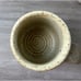 Set Of 6 Pottery Stoneware Espresso Mini Mugs Cups Handle Pine Tree