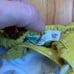 12-18m Baby Boden Daisy Pinnie VGUC