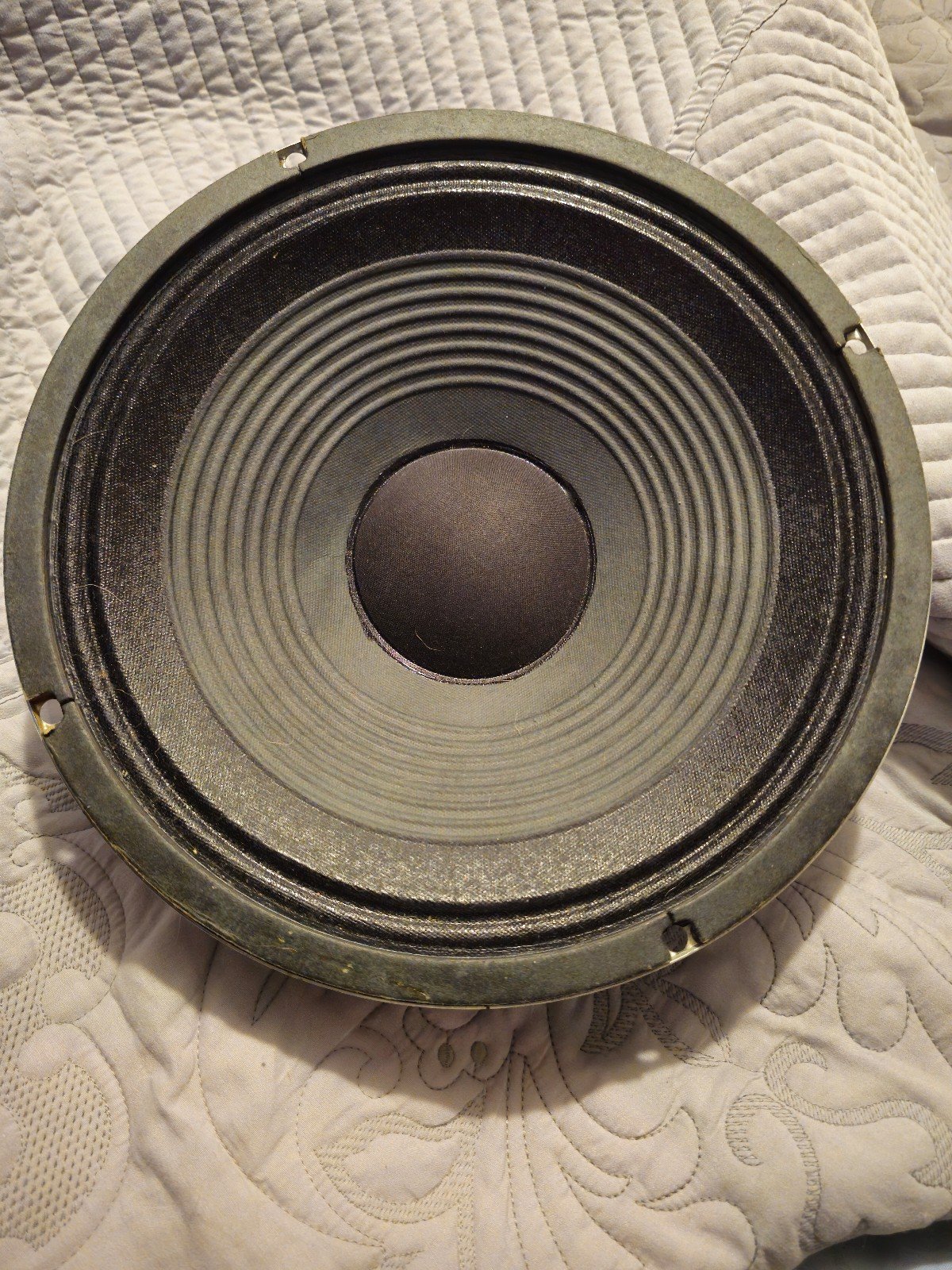 Celestion Speaker