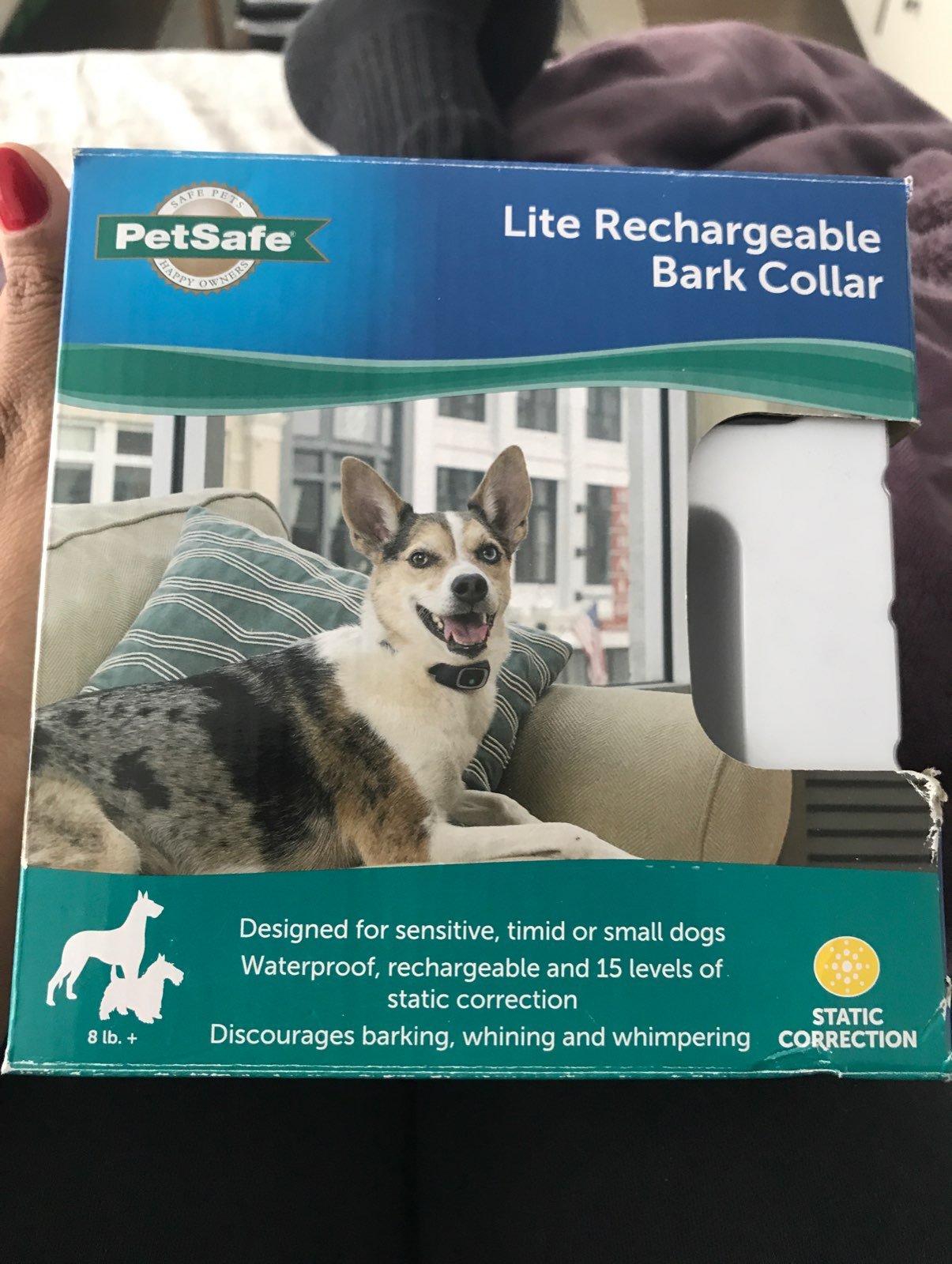 PetSafe Bark Collar