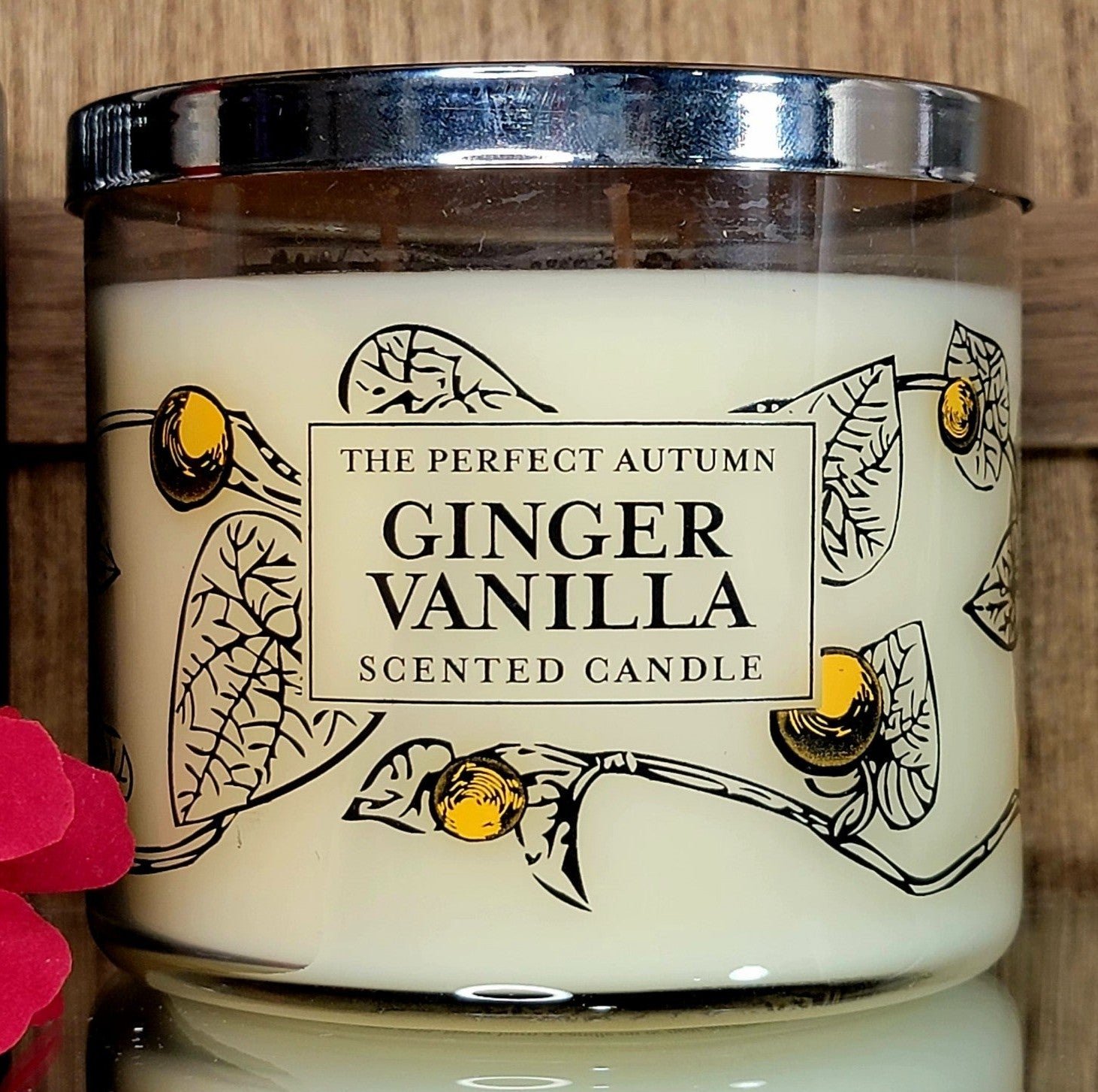 Slatkin & Co Ginger Vanilla Candle RARE & HTF (2009 Perfect Autumn Collection)