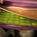 Scrapbook paper lot bundle with case
