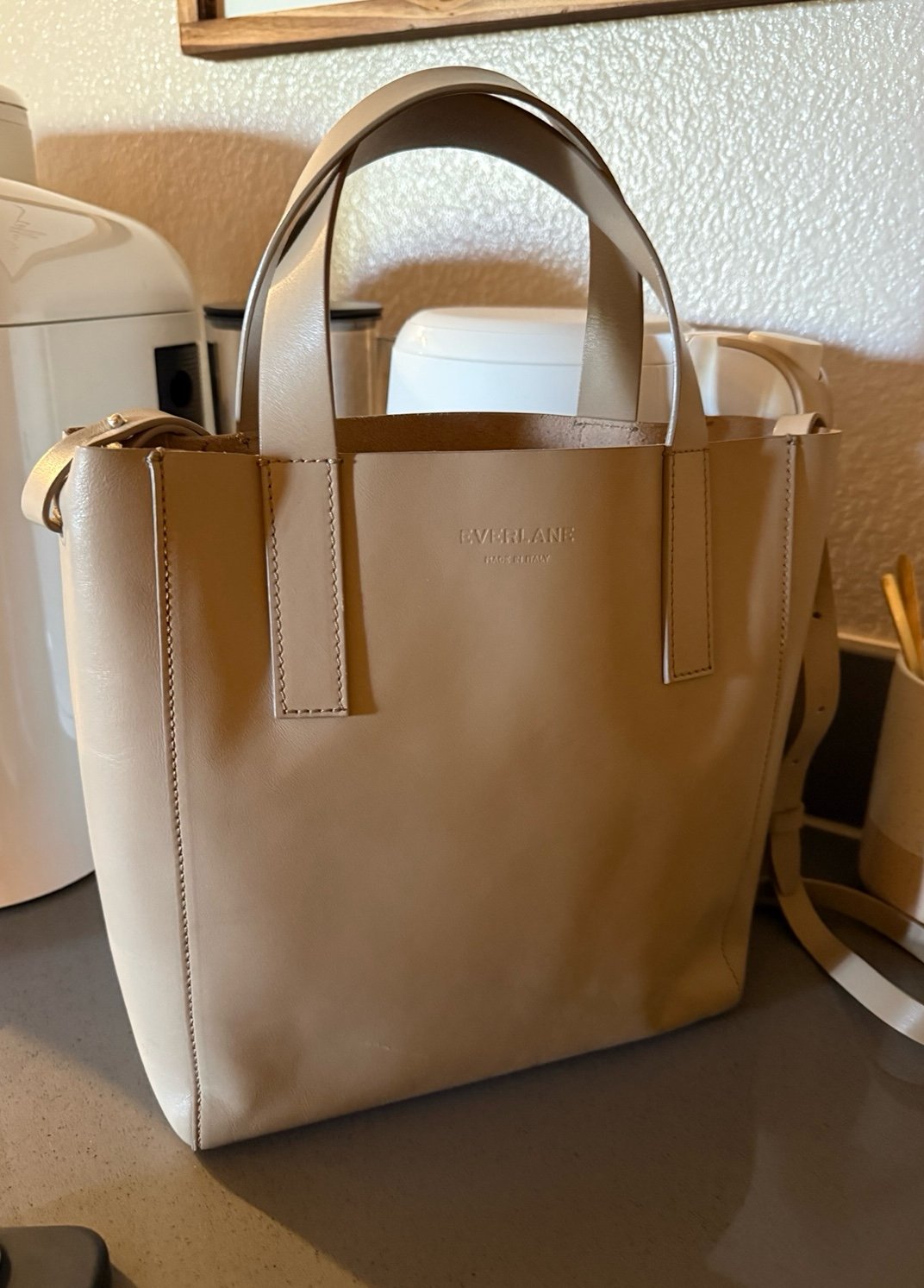 Everlane Light Taupe Mini Day Tote