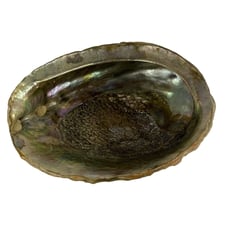 Vintage MCM Large Abalone Shell Footed Bowl Dish Smudge Stick Candy Trinket