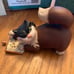 Cinderella's cat Lucifer “Meany, Sneaky, and Roos-A-Fee” Walt Disneys Classics