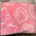 Hello Kitty blanket and pouch