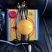 Plug in tv games