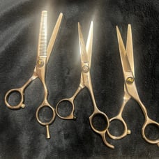 Cosmetology Shears Set of 3 Paul Mitchell Negotiable
