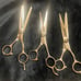 Cosmetology Shears Set of 3 Paul Mitchell Negotiable