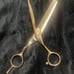 Cosmetology Shears Set of 3 Paul Mitchell Negotiable