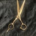 Cosmetology Shears Set of 3 Paul Mitchell Negotiable
