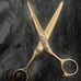 Cosmetology Shears Set of 3 Paul Mitchell Negotiable