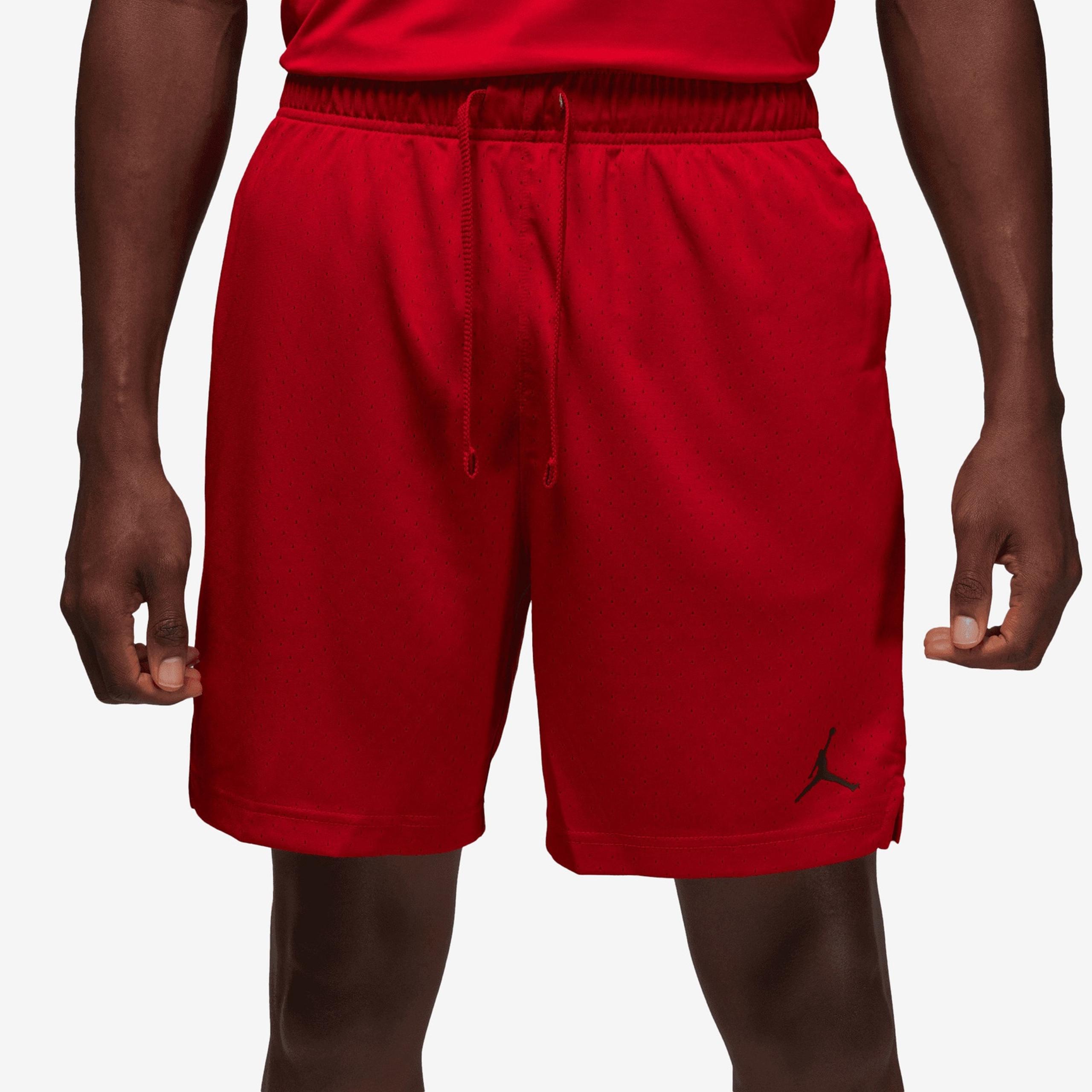 Nike Air Jordan Sport Men's Dri-FIT Mesh Shorts