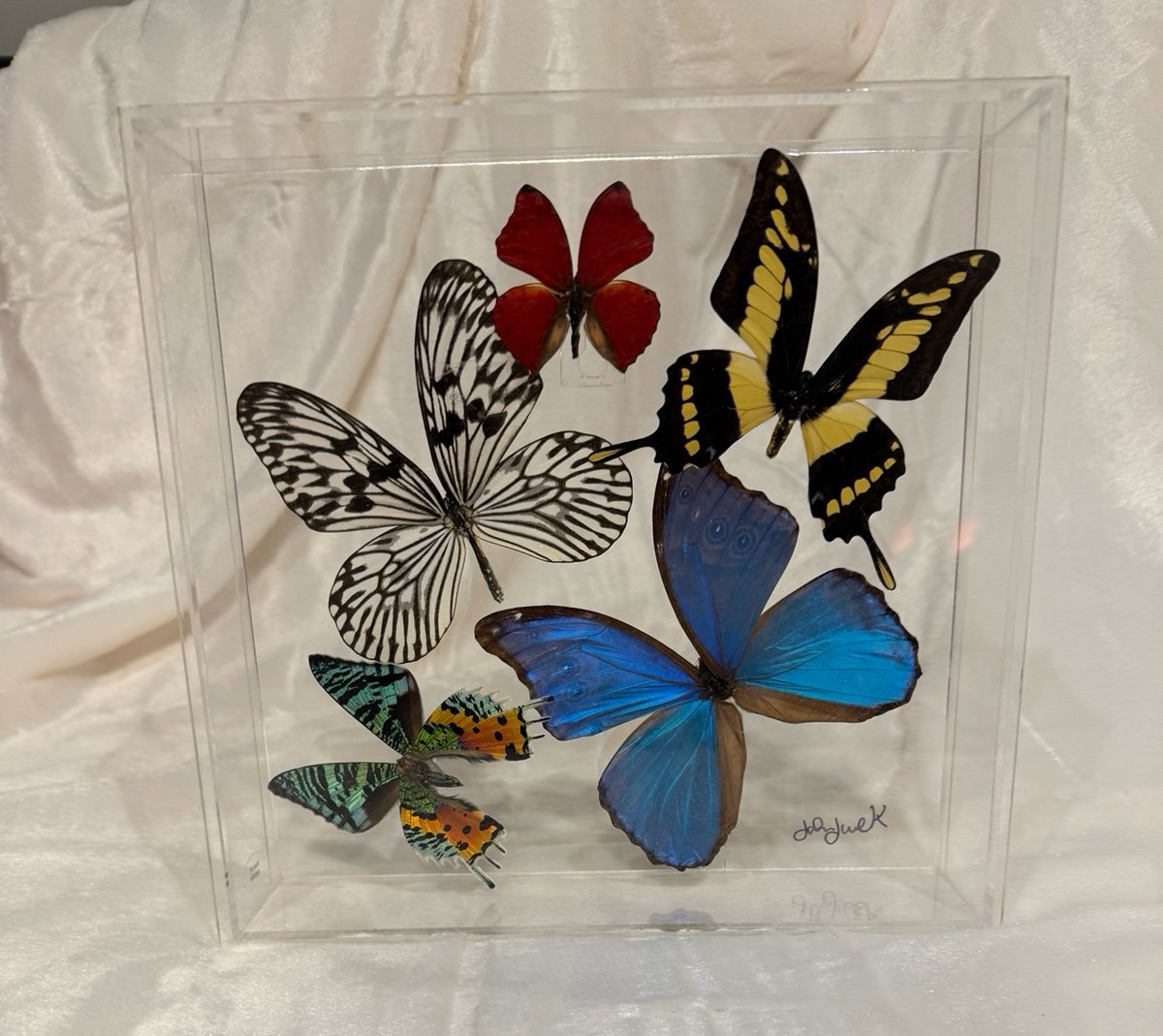 10”x10” Butterfly Box - Artist John Jurek