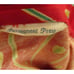 Small Vintage 1970's Women's Dress BLOOD RED MEDALLION PRINT MOD TOP Shirt DRESS