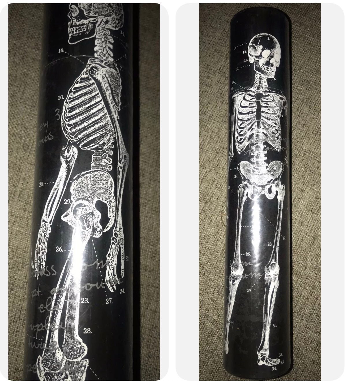 Two’s Company “Sticks & Bones” 50 Long Matches Skeleton Skull Anatomical Anatomy