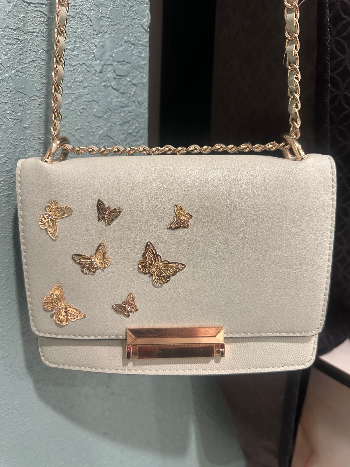 Crossbody Aldo bag