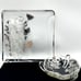 Vintage 50s Silver City Sterling Overlay Poppy Floral Serving Platter Candy Dish