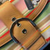 COACH Handbag with FREE Coach Scarf