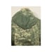 New. COTTON CITIZEN green distressed hooded sweatshirt