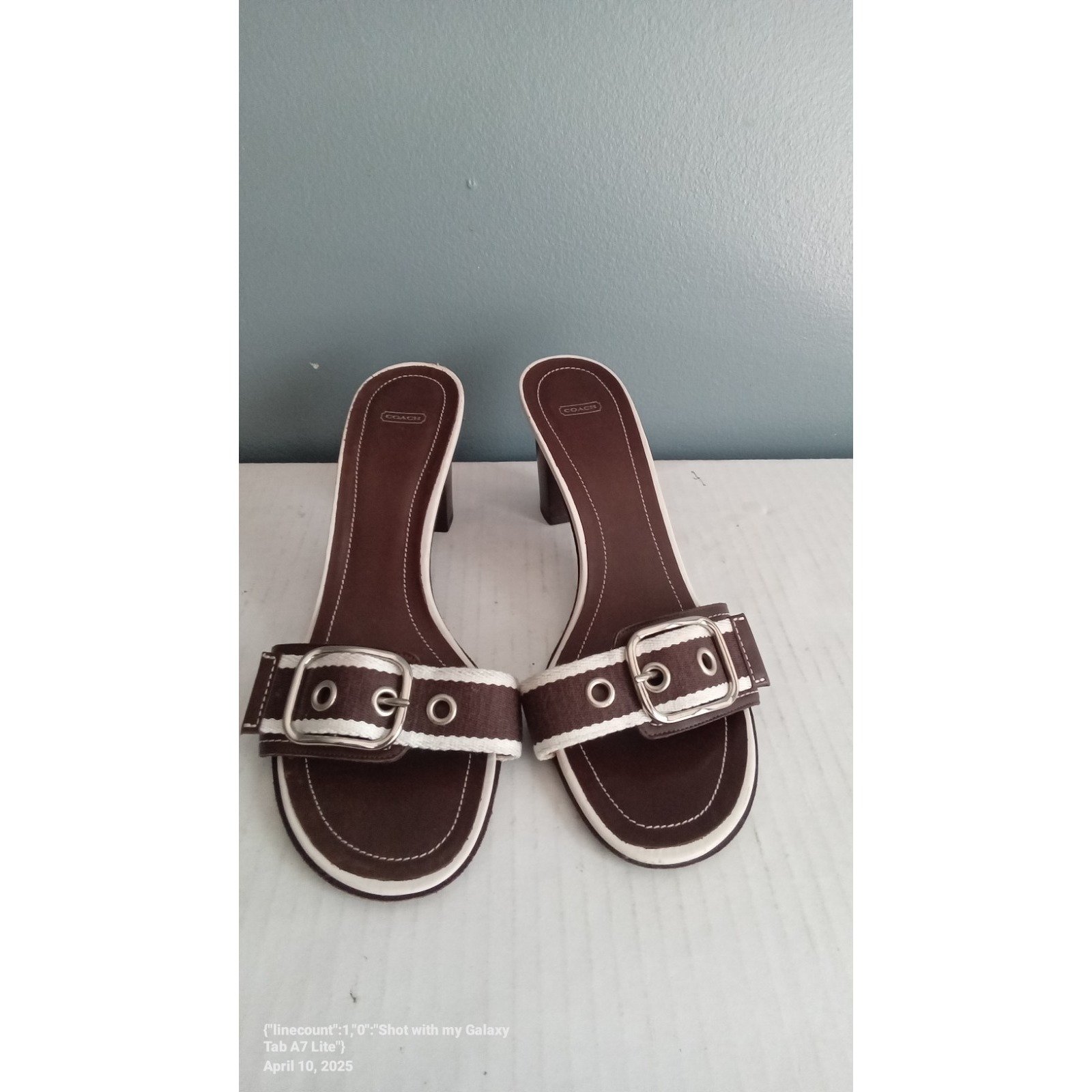 Coach Brown Leather Heeled Sandals Buckle Accents Slides Shoes