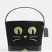 Coach Trick Or Treat Bucket With Halloween Cat CW532 NWT