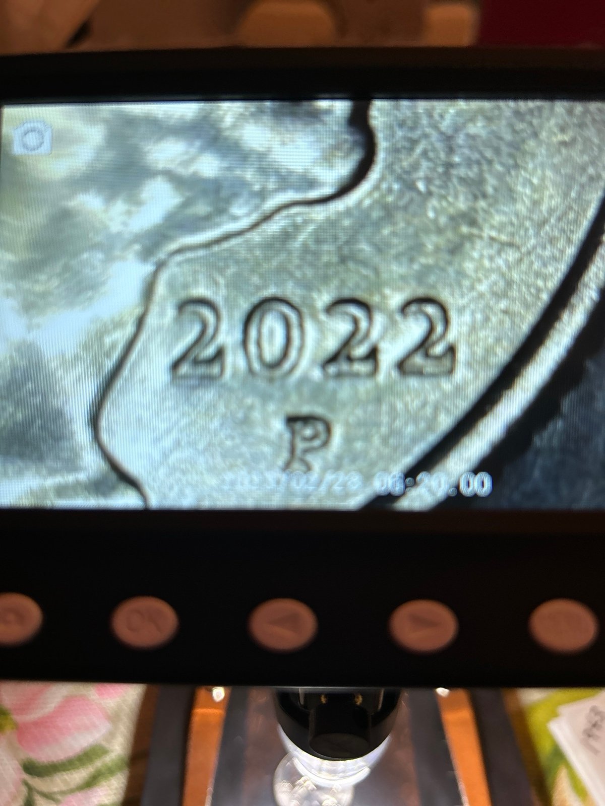 Quarter 2022P right face drooling quarter Voto Para La Mujer