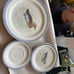 Home beautiful stoneware Chesapeake dish set