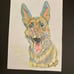 Custom Pet Portraits - Hand-Drawn Masterpieces