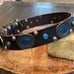 Top layer cofskin nail Swarovski and Turquoise dog collar Medium large dog leath
