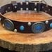 Top layer cofskin nail Swarovski and Turquoise dog collar Medium large dog leath