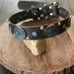 Top layer cofskin nail Swarovski and Turquoise dog collar Medium large dog leath