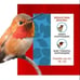 PENNINGTON 16 OZ. GLASS HUMMINGBIRD FEEDER - TOP RATED BEST SELLER☆ BNWT