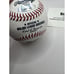 Matt Duffy OMLB Signed Autographed COA Tristar