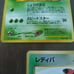 holographic Japanese Pokemon Card Bundle