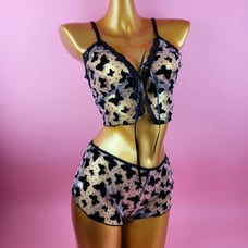 Butterfly mesh Lingerie Set