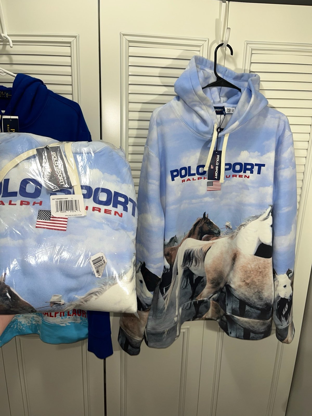 Polo Sport Horse Graphic Hoodie