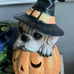 Halloween Bulldog pug Witch Dog LIGHT UP Pumpkin Resin Statue Prop Decor 9