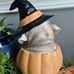Halloween Bulldog pug Witch Dog LIGHT UP Pumpkin Resin Statue Prop Decor 9