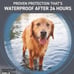 Frontline shield for large Dogs 41 to 80lbs