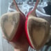 Red Women heels Giuseppe Zanotti