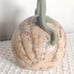 Vtg Ceramic Cantaloupe Melon Pitcher Tea Pot Farm Garden Home Decor Spring Fall