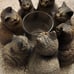 Bronze Cat Tea Candlabra