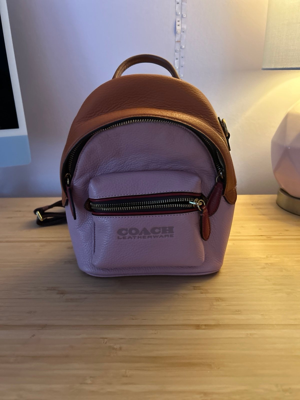 Coach mini backpack