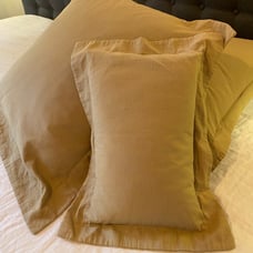 RH - 2 Euro shams and one lower lumbar pillow cases