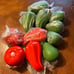 Tupperware Veggie Keepers Bundle