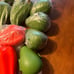 Tupperware Veggie Keepers Bundle