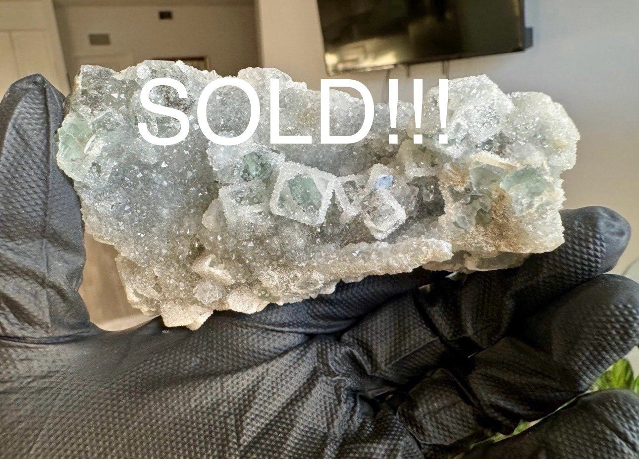 SOLD!!!
