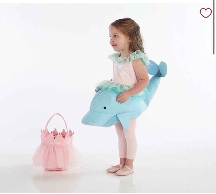 Potter Barn Kids Toddler Mermaid Dolphin Costume PB Kids